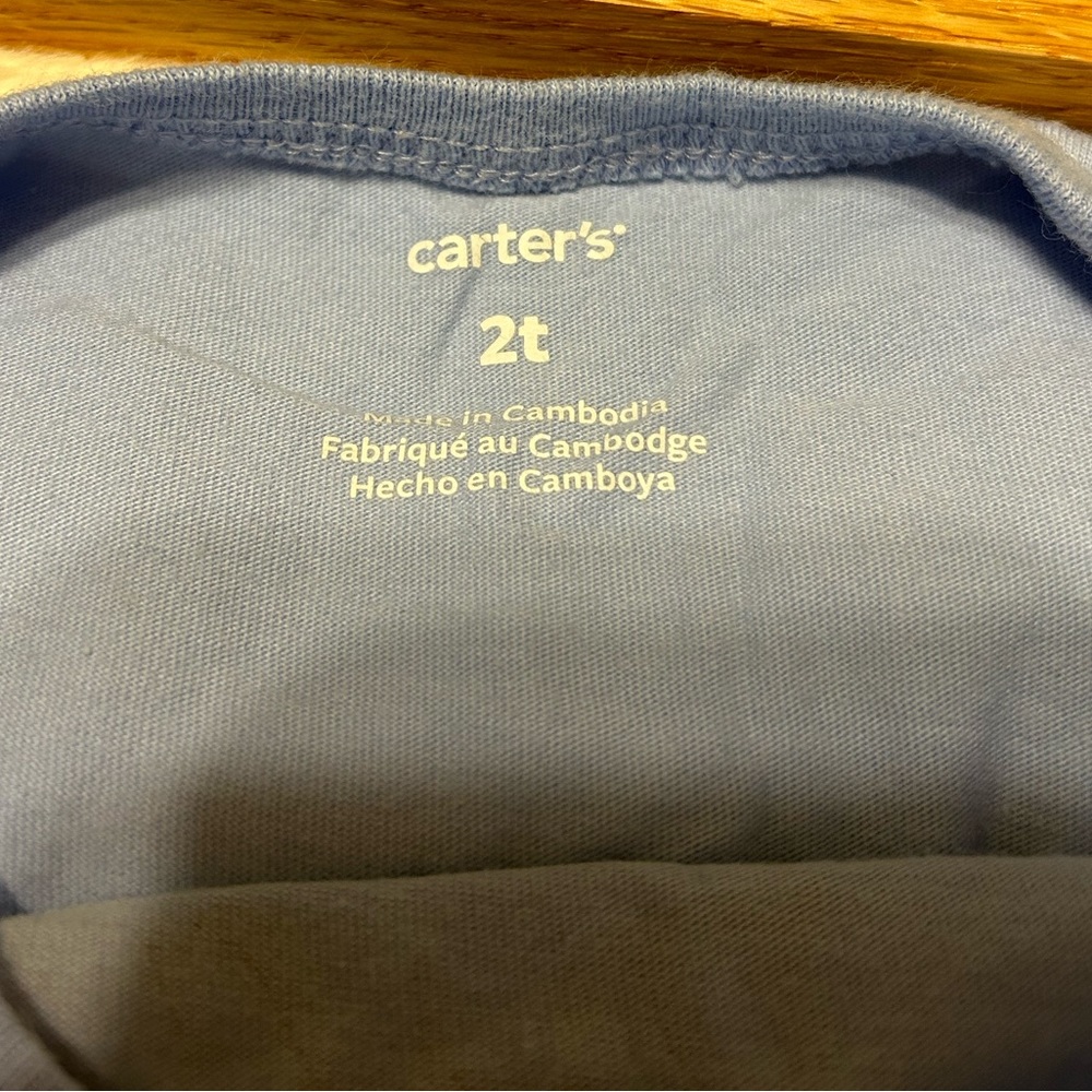Lot of 4 Carter's and Old Navy Short Sleeve Tees for Toddler - Size 2T - Picture 10 of 13